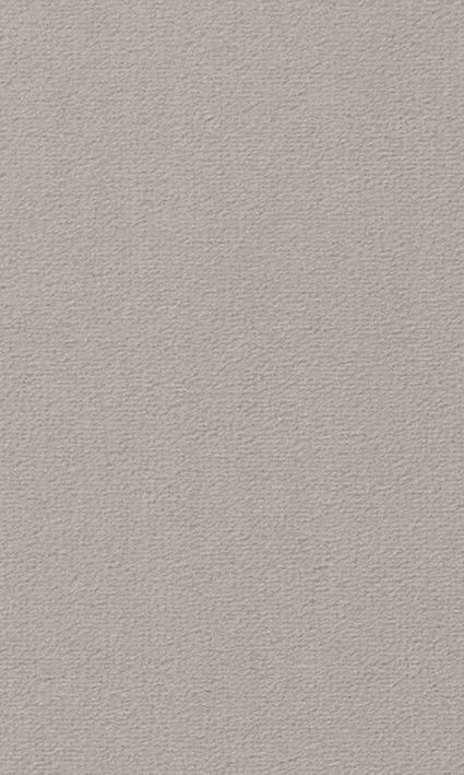 Teppichboden Vorwerk Passion 1000 MODENA Velours Grau 5N50 - Rollenbreite 500 cm