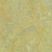 Farbe 1414
