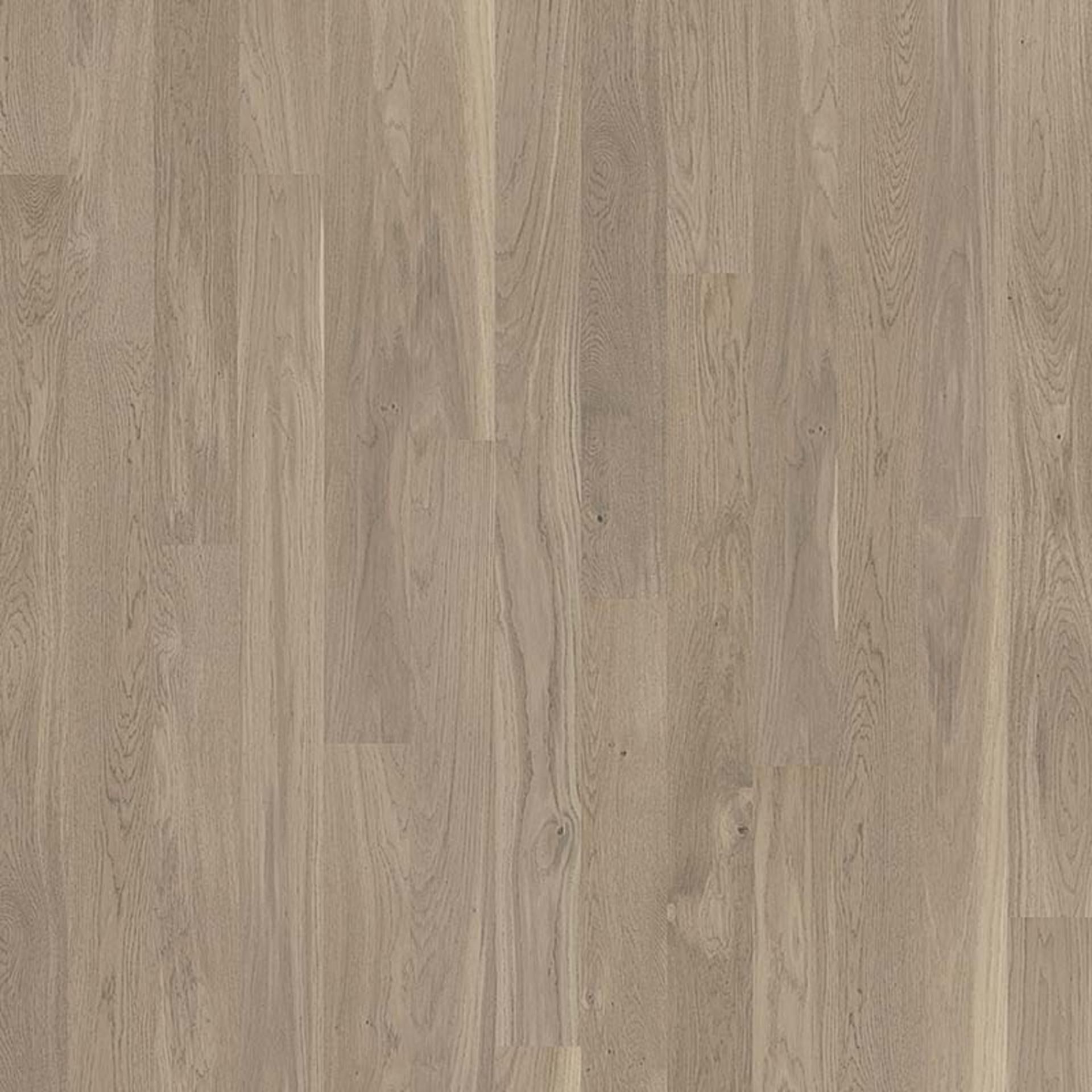 Holzboden Eiche Evening Grey gebürstet" 1 Stab" MADRID-TB15 Planke 134 x 1850 mm
