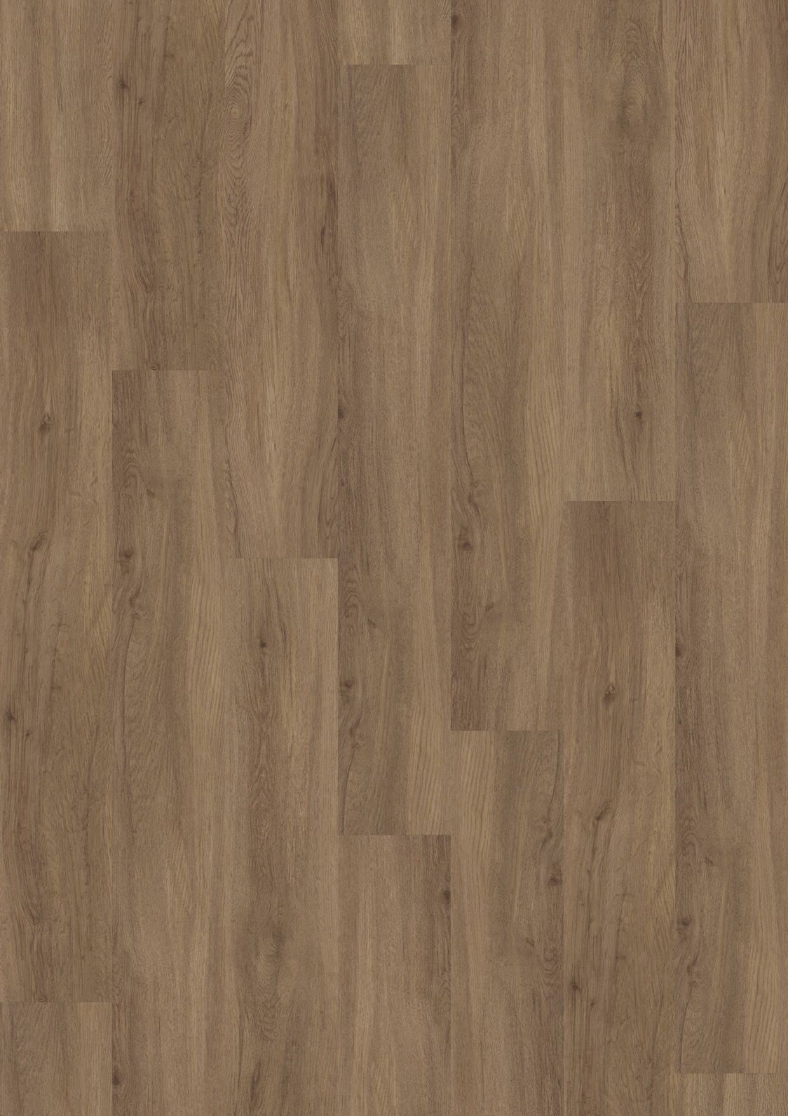Designboden Dryback 2811 Airy Oak - Planke 18,42 cm x 121,92 cm - Nutzschichtdicke 0,4 mm