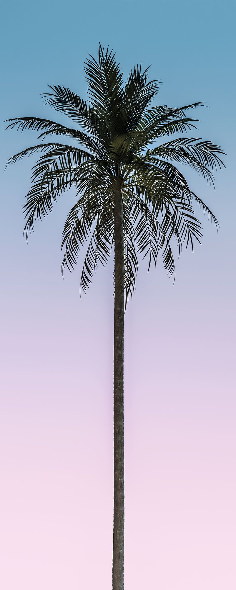 Vlies Fototapete - Skyhigh Panel - Größe 100 x 250 cm