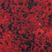 Rot 004