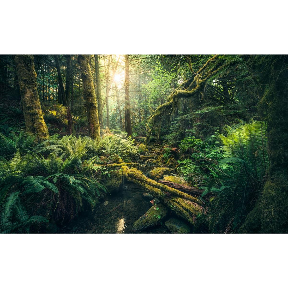 Vlies Fototapete - Elves Cathedral - Größe 450 x 280 cm