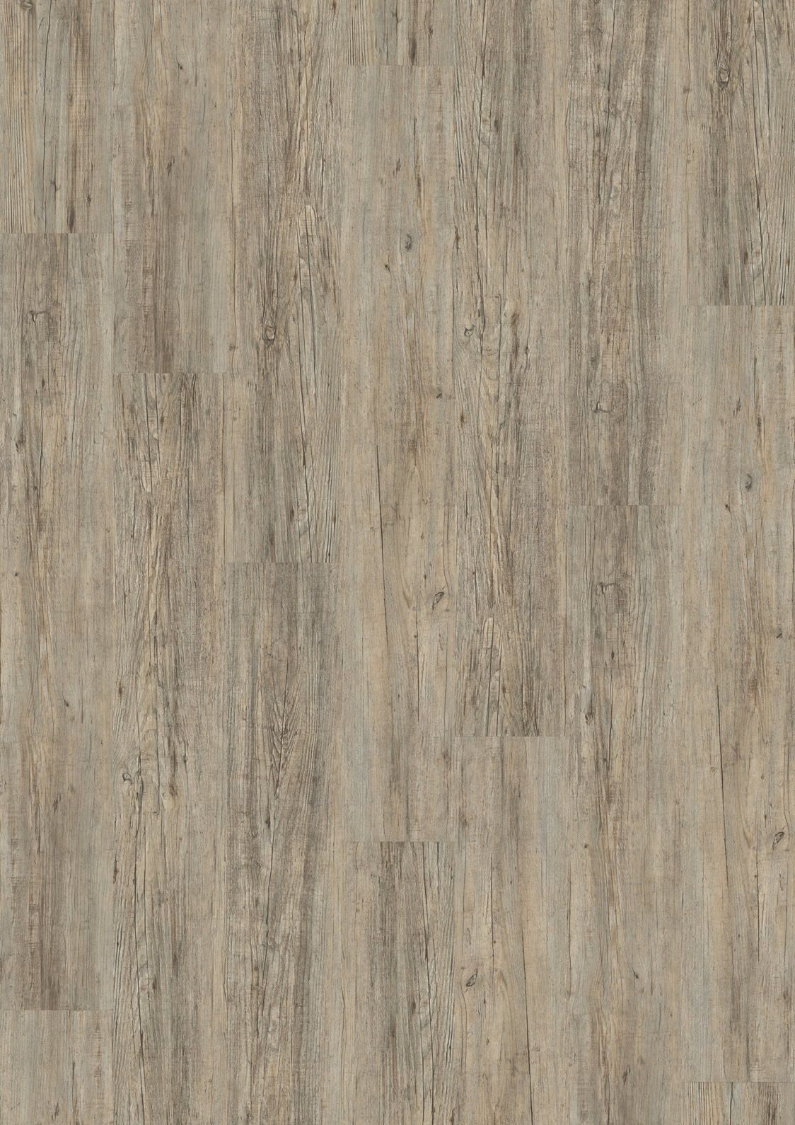Designboden Dryback 2834 Grey Pine - Planke 18,42 cm x 121,92 cm - Nutzschichtdicke 0,4 mm