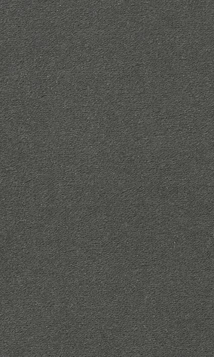 Teppichboden Vorwerk Passion 1000 MODENA Velours Grau 5B48 - Rollenbreite 500 cm