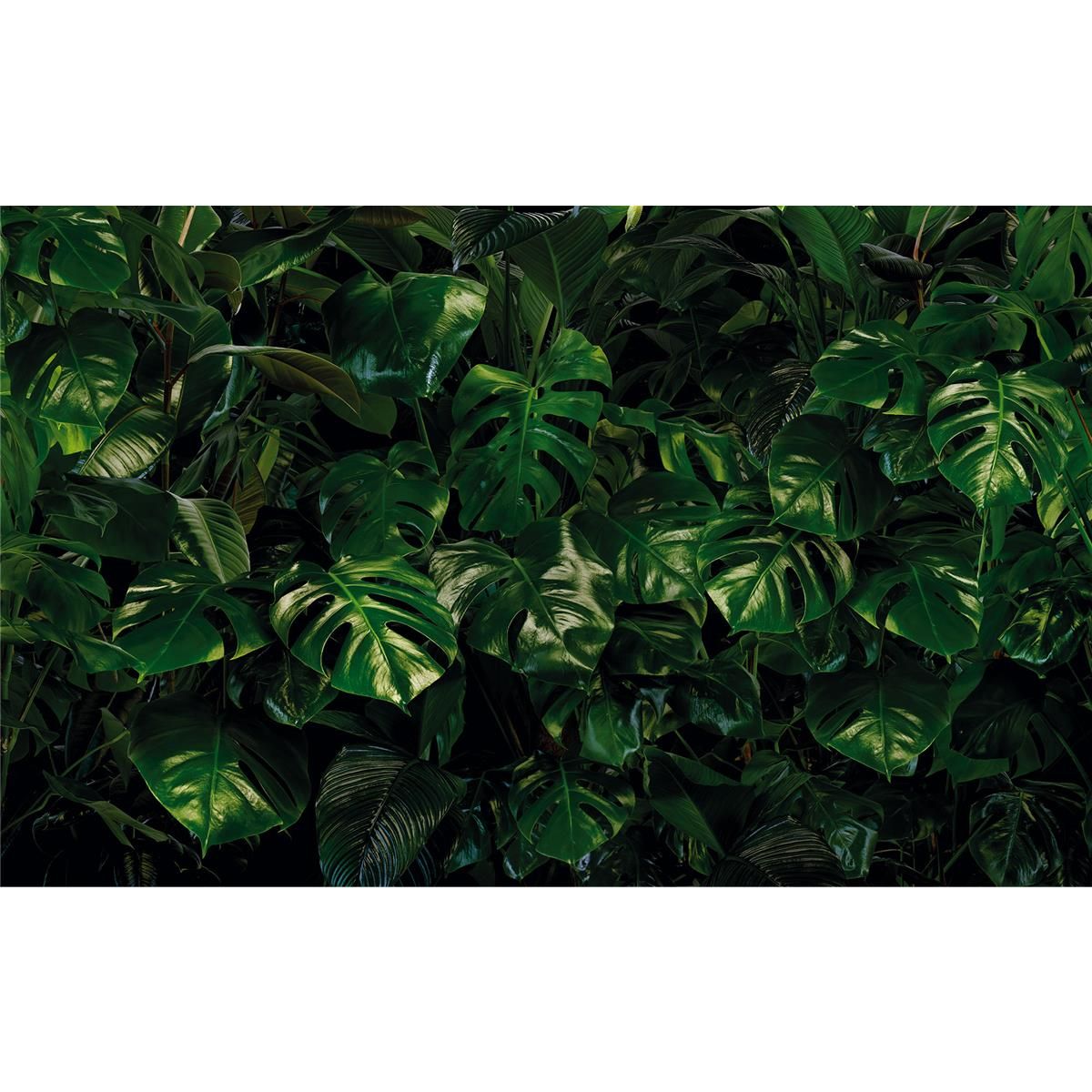 Vlies Fototapete - Tropical Wall - Größe 400 x 250 cm