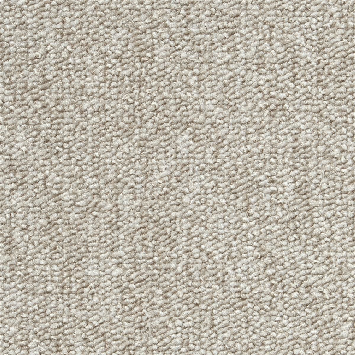 Teppichboden Vorwerk Passion 1005 RONDO Schlinge Weiß 6C89 - Rollenbreite 500 cm