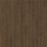 Eiche Cumin 1 Stab