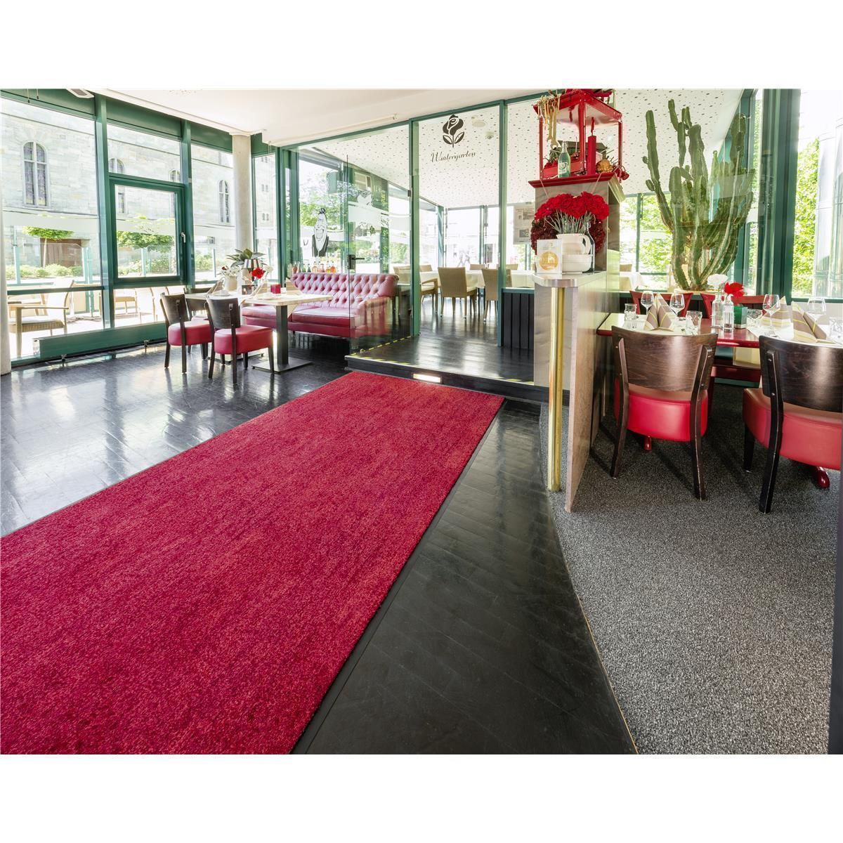 Sauberlauf Grau 80.03 mit Rand - Rollenbreite 200 cm