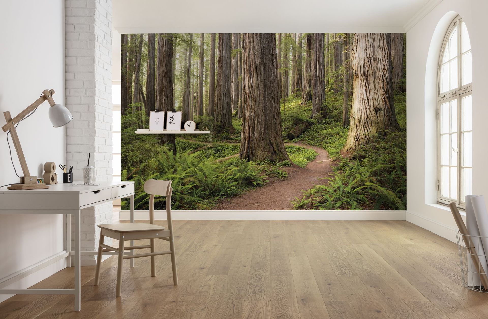 Vlies Fototapete - Redwood Trail - Größe 450 x 280 cm