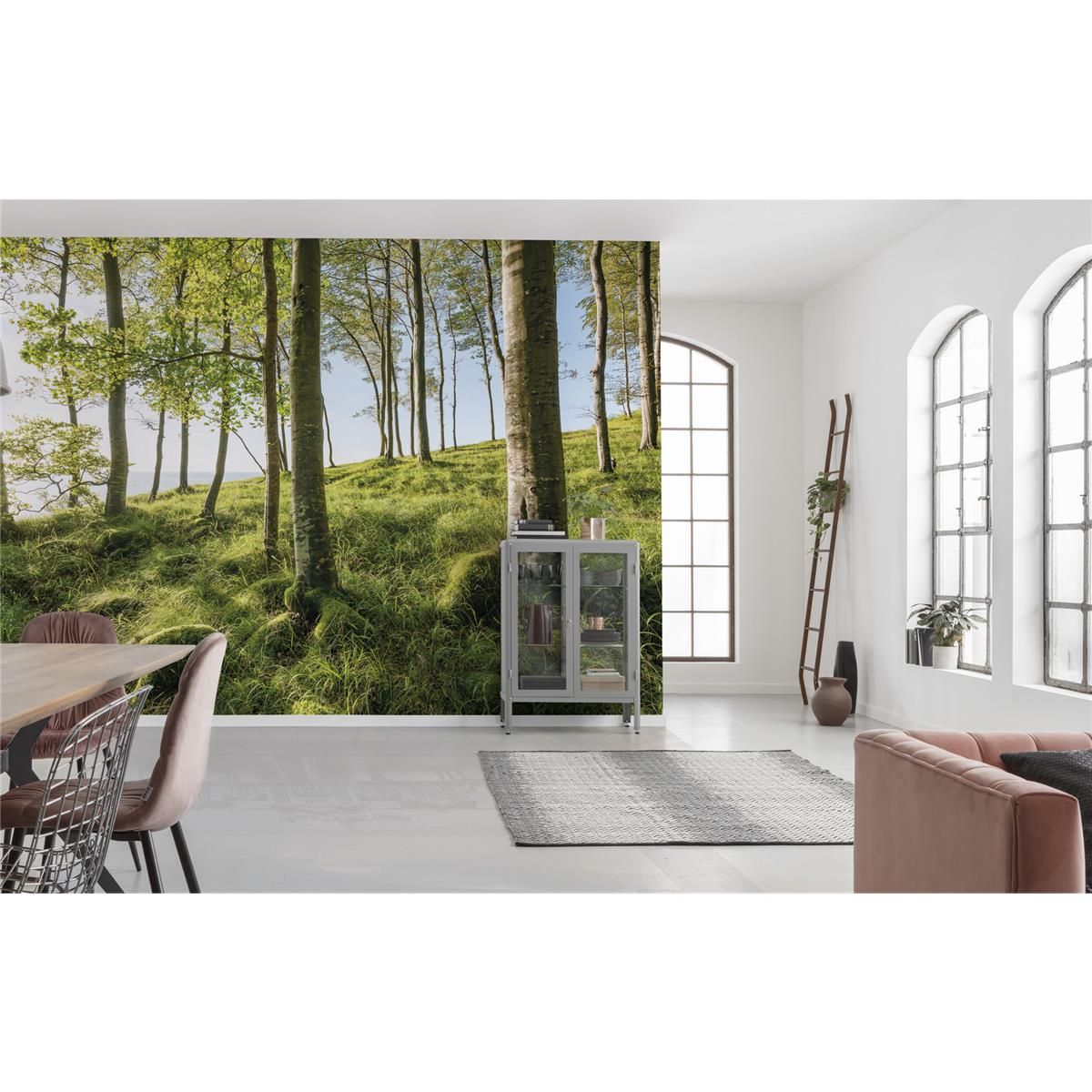 Vlies Fototapete - Zauberhaftes Buchenspektakel - Größe 450 x 280 cm