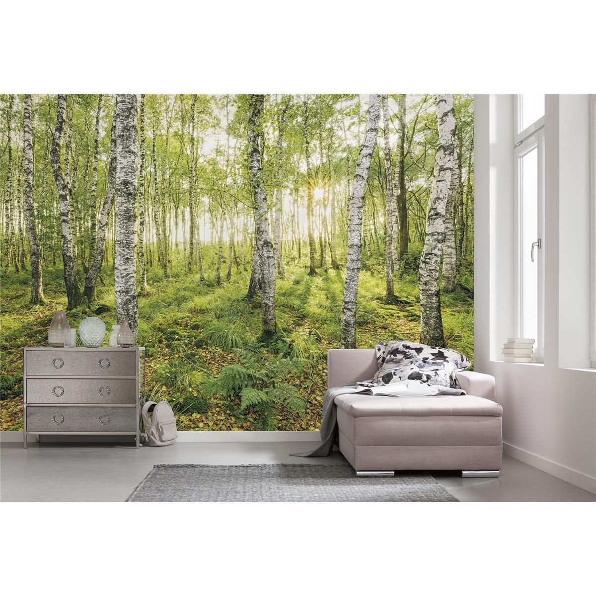 Vlies Fototapete - Birch Trees - Größe 400 x 250 cm