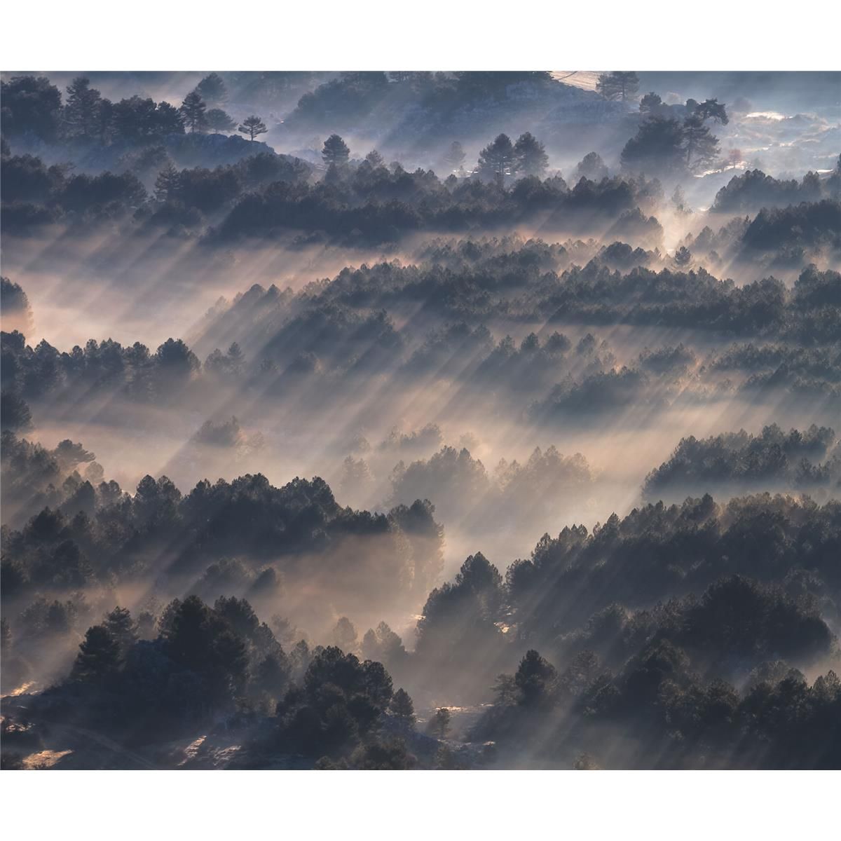 Vlies Fototapete - Rays - Größe 300 x 250 cm