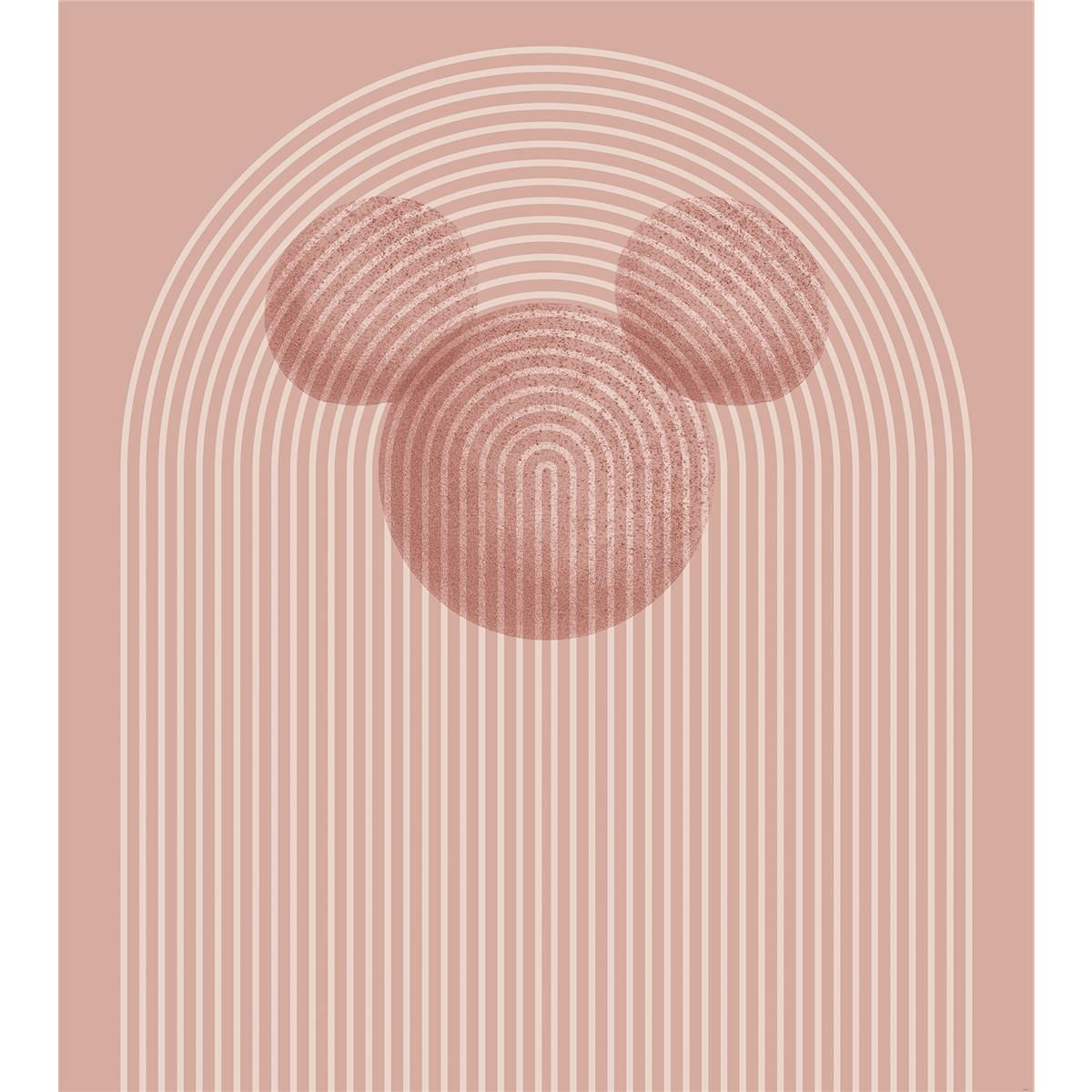 Vlies Fototapete - Mickey Arc - Größe 250 x 280 cm