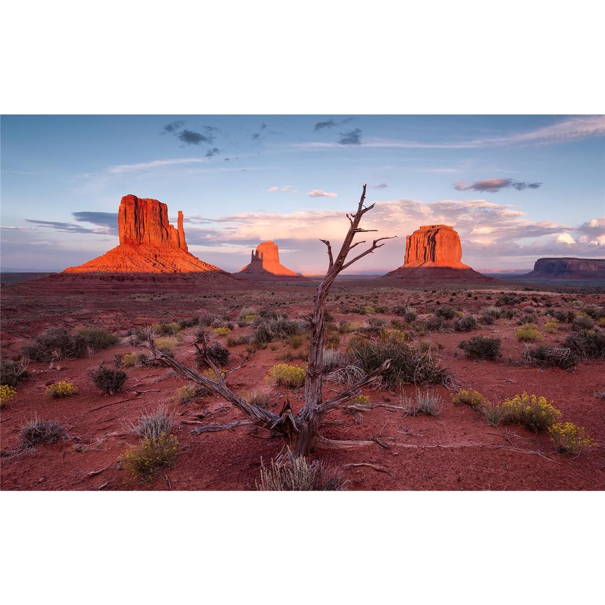 Vlies Fototapete - Wild West Heroes - Größe 450 x 280 cm
