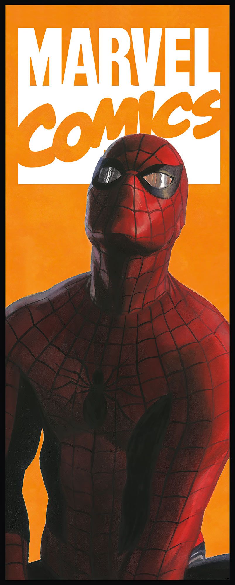 Vlies Fototapete - Spider-Man Comic - Größe 100 x 250 cm