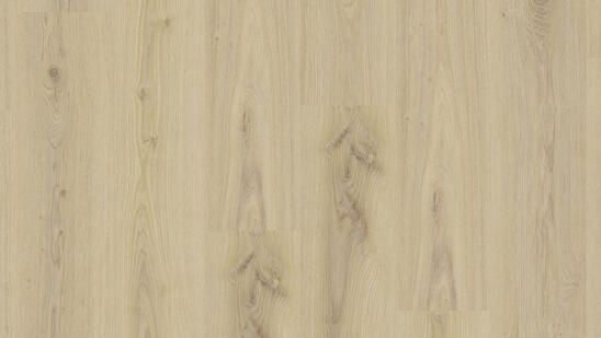 Designboden Kleben Essence 55 Natur Primary Oak Beige 20 x 120 cm Tarkett