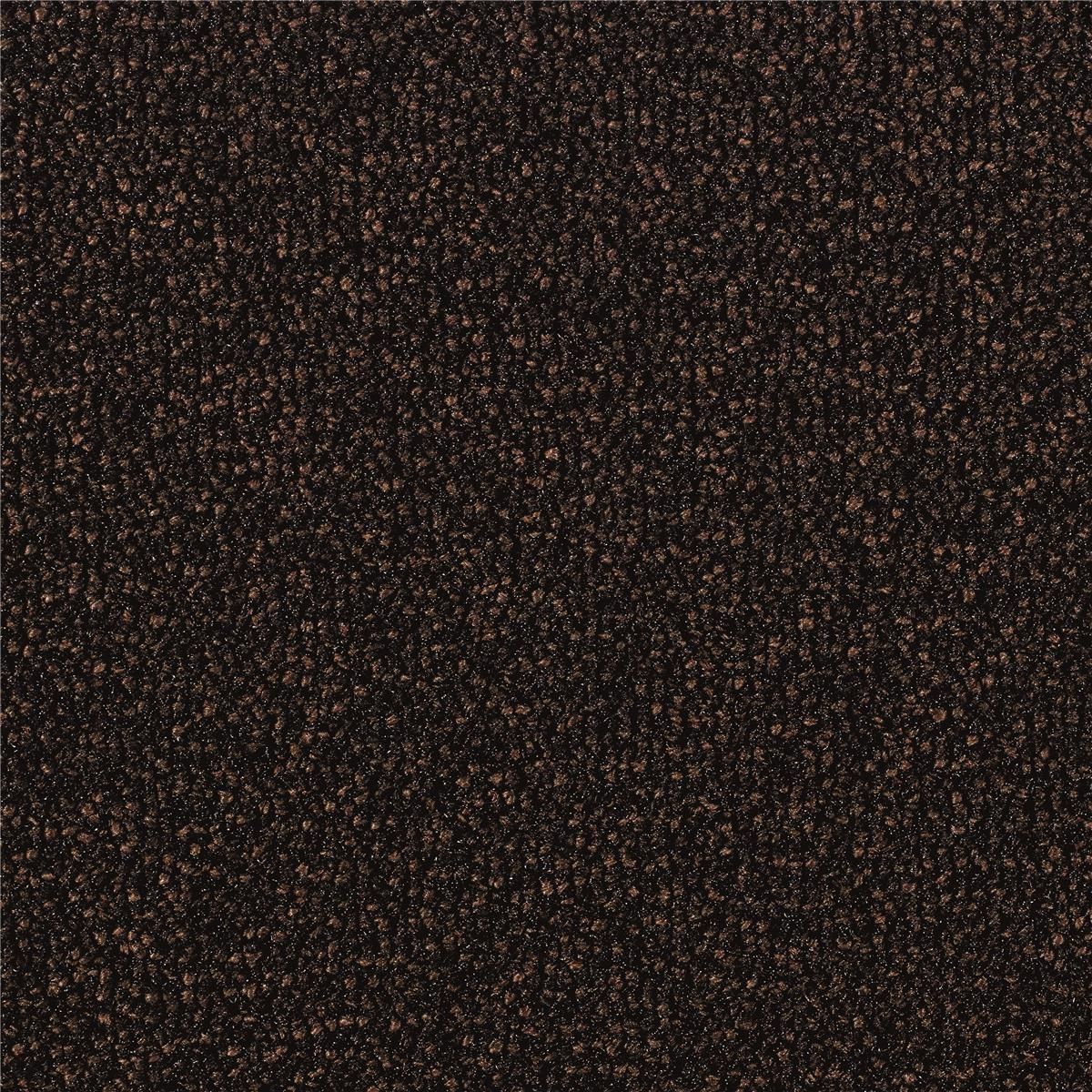 Sauberlauf Braun 47.03 mit Rand - Rollenbreite 200 cm