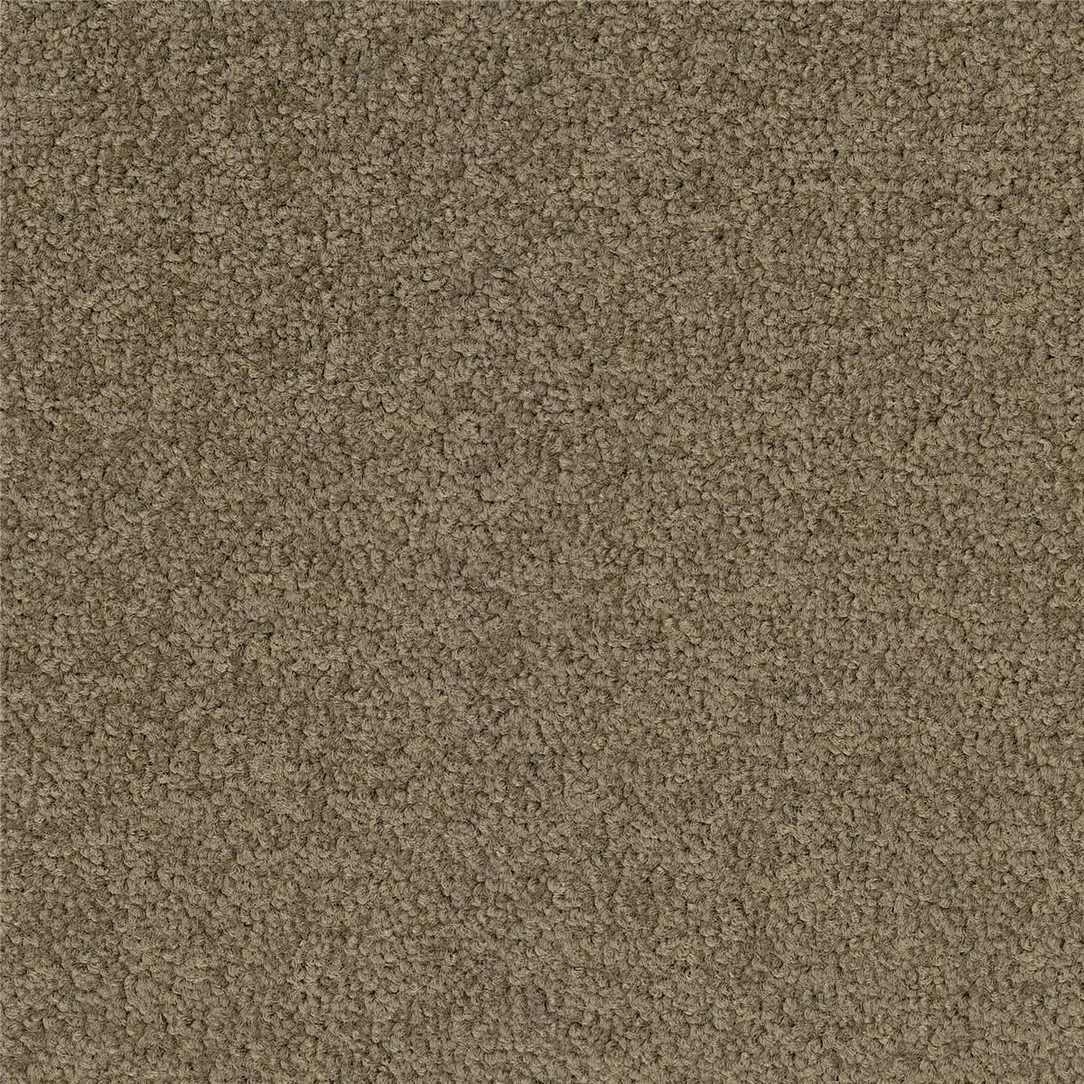 Teppichfliesen 50 x 50 cm Velours Palatino A072 2929 Braun Allover