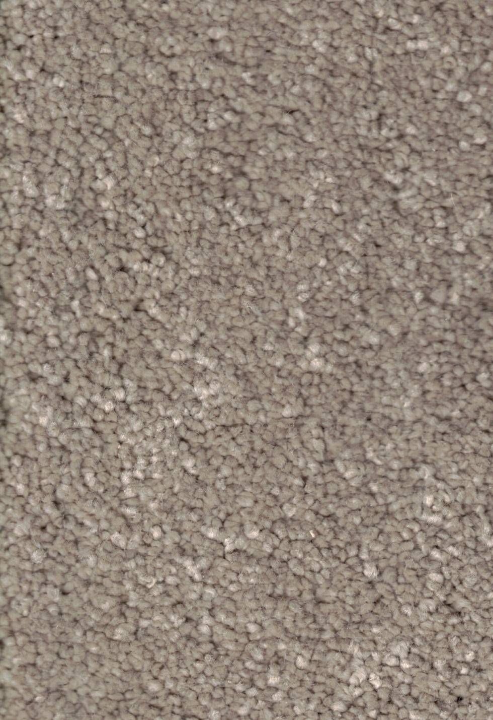 Teppichboden Lano Soft Perfection Touch Down 432 Hollywoodgrau - Rollenbreite 400 cm